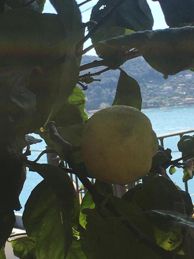 Casa Rossa Leilighet Porto Venere Eksteriør bilde